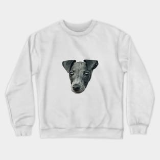 Italian Greyhound Cute Puppy Dog Art Crewneck Sweatshirt